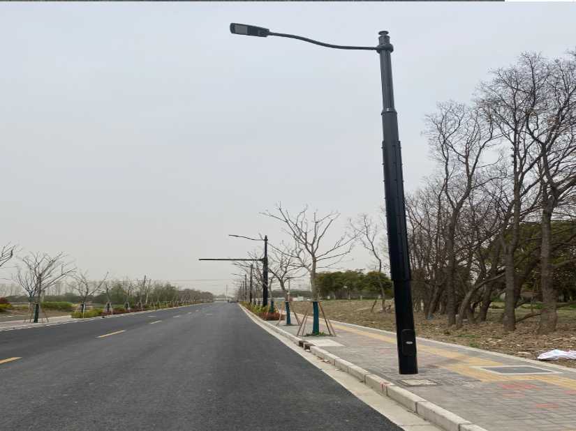 天等县上海综合杆 太阳能路灯工程